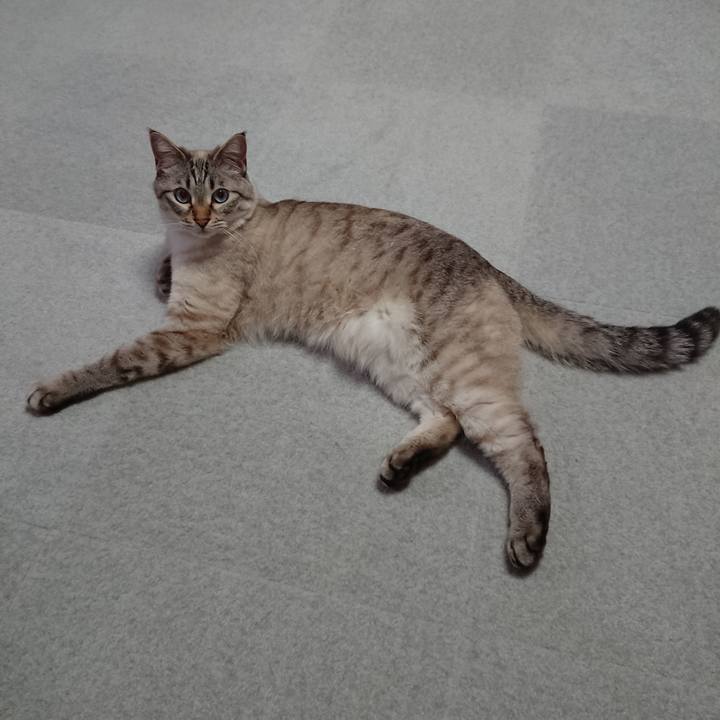 14b97de0 e18b 4b11 9195 97b878776154 1589125374974