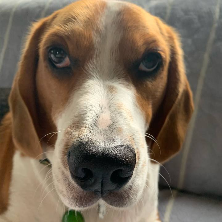 14b97f66 64c4 46d8 8c08 f5b510b04885 1571717459385