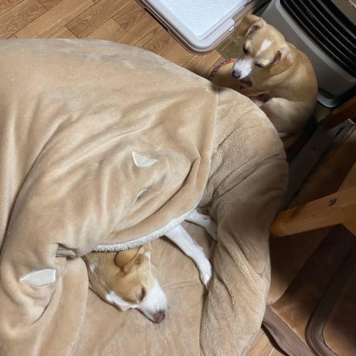 14b9a099 9162 4efc bc76 7c16dafacaa3 1670132873491