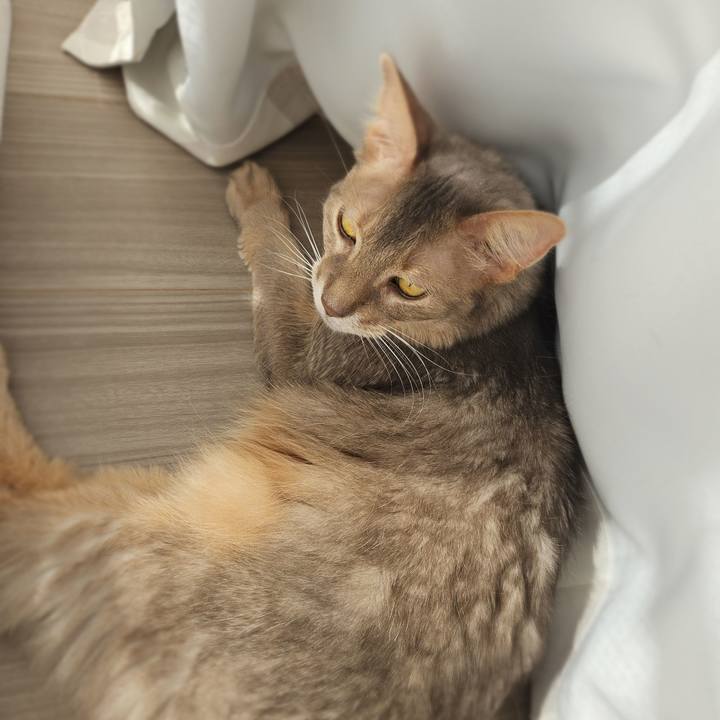 14b9ee2a e99a 4030 af41 b4d2b6e8719f 1769653590722