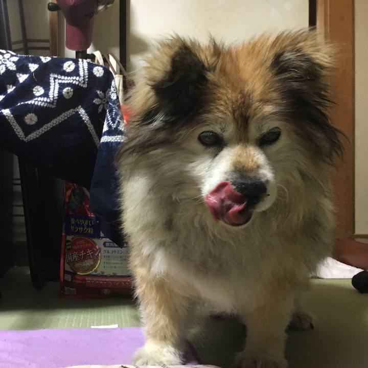 14ba15eb 729e 4729 812e a1e2745a9aea 1553710538485