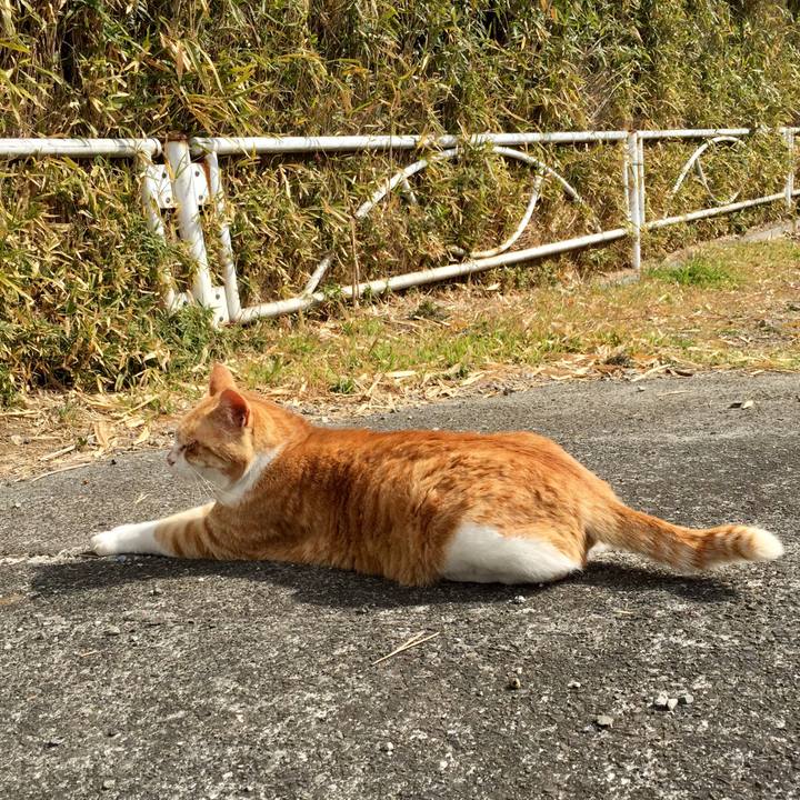 14ba5767 a568 43f7 a129 b794a9038a09 1549959303035