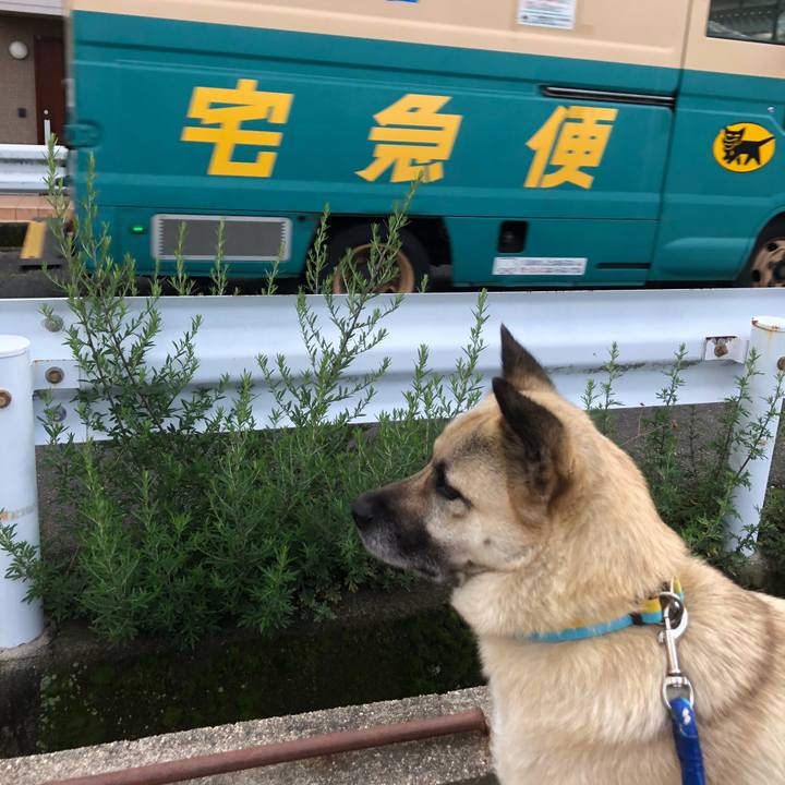 14ba5c7b 7089 4094 a78d 6b36daf0160a 1593077893512