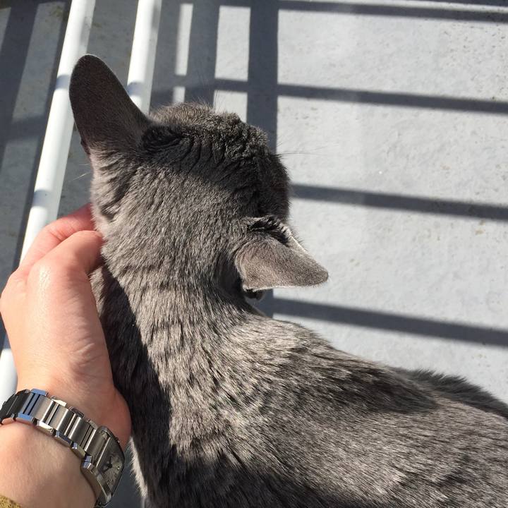 14baa5ae b8df 4e2a 94d3 a00d835a6300 1521334060264