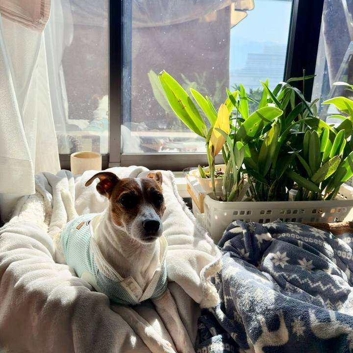 14baab60 2ca6 4f10 960c 9265247a7acc 1774141892150