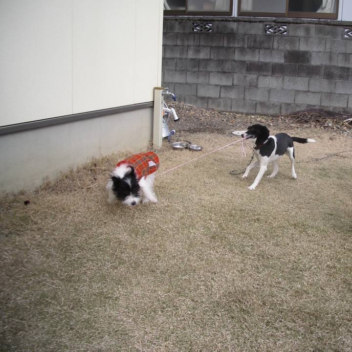 14bad3cb 469a 4af2 b0f1 3106acb84b27 1528548274501