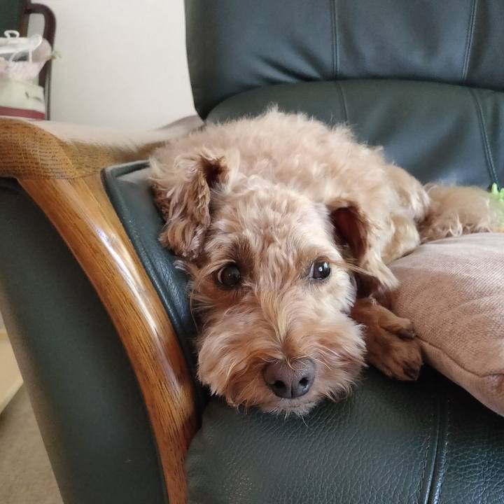 14bb13fb 3390 420c 8c3e e81689068d8a 1594336796674