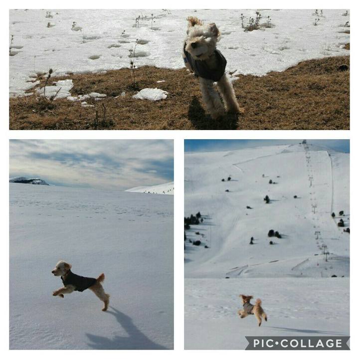 14bb544d 850b 4b36 b666 89a9ada1a668 1581375150830