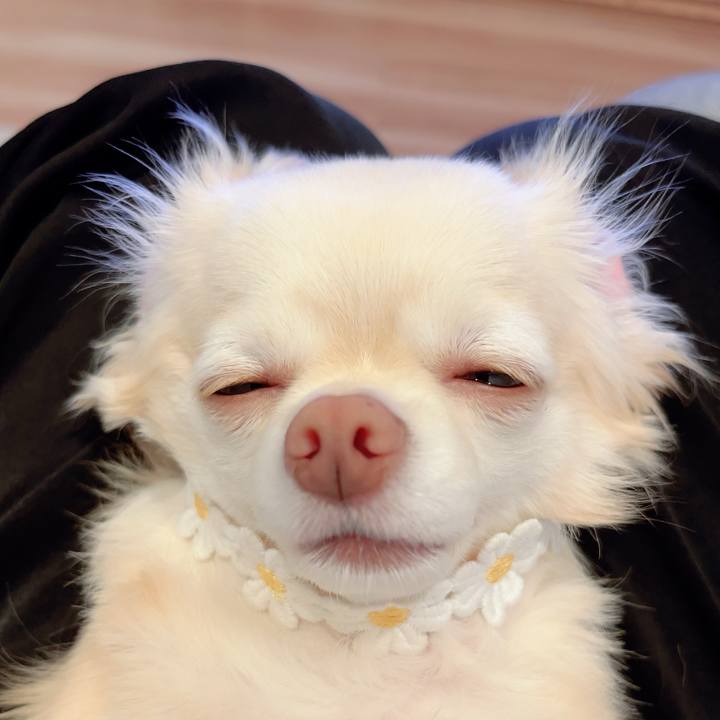 14bb8177 f4ae 4772 a7d9 e667ad40a95e 1694780844121