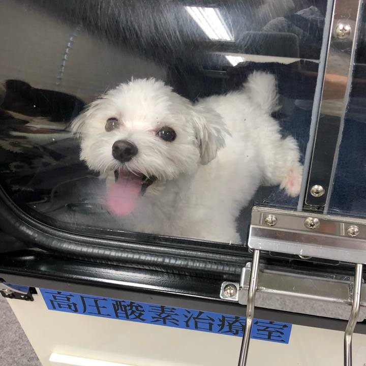 14bb9495 4800 43f0 8348 d9404d0a2844 1537865447915