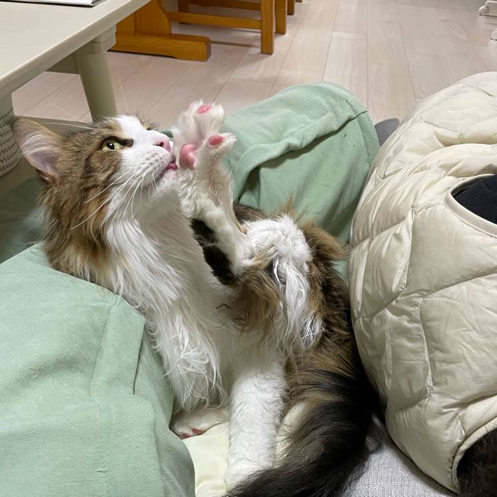 14bba97a 4f06 4ce7 b0c2 9295cab80a89 1678362299789