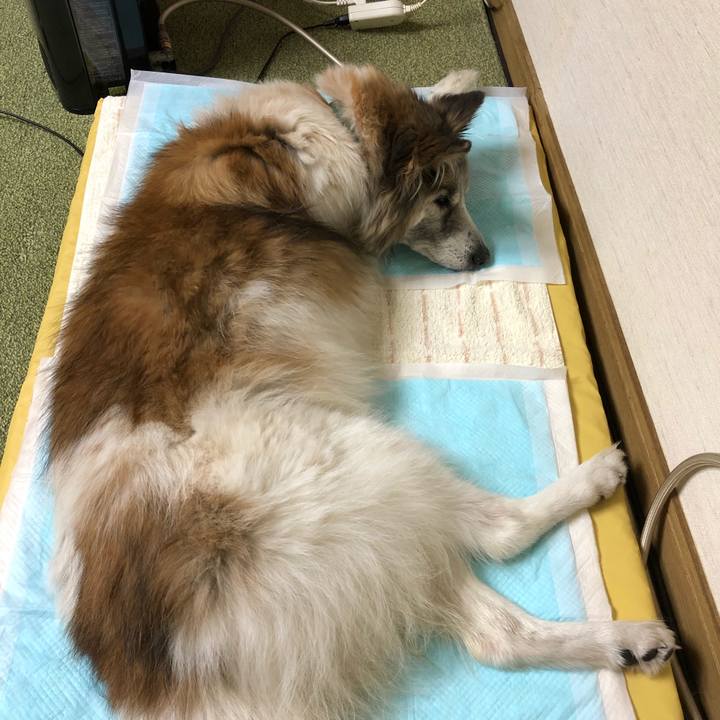 14bbaf00 d0d2 4405 b699 f3c1e7af7d51 1518924159098