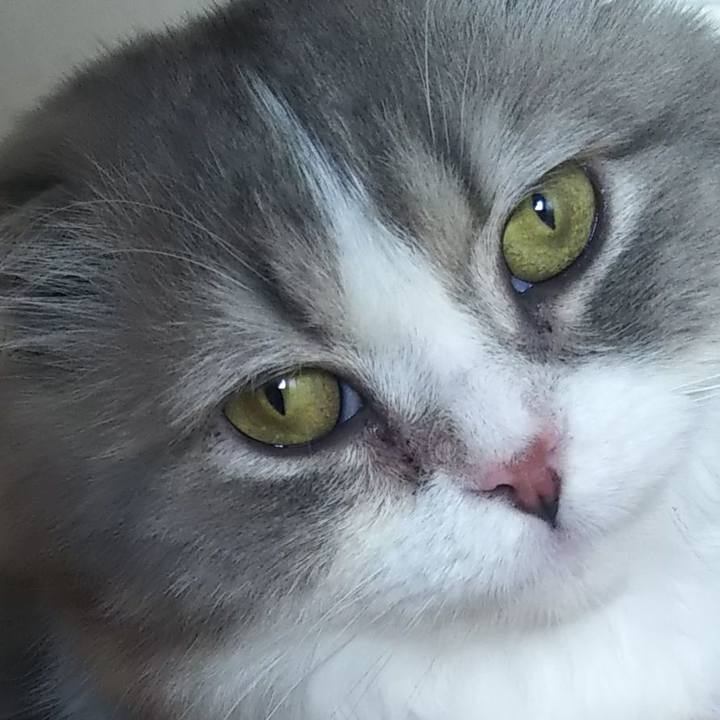 14bbf7a8 d730 41a6 b2a2 5de01711b1a1 1625282697174