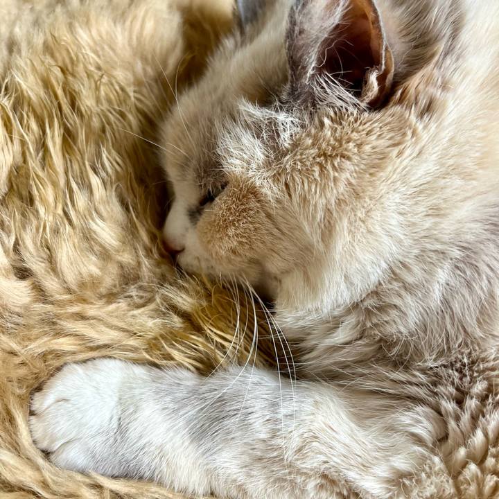 14bc0f5a 6bc4 4d0b be82 95b5a16a821c 1775293535589