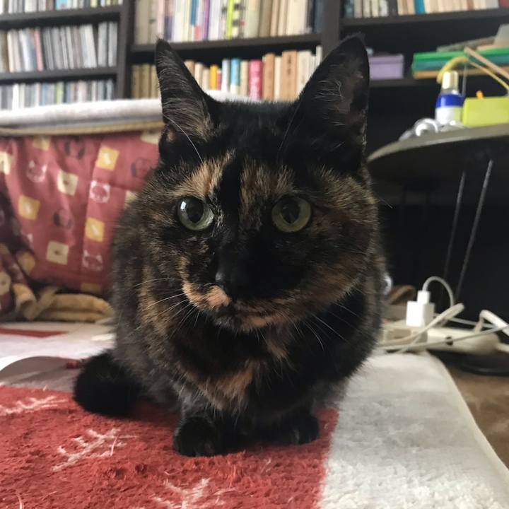 14bc63f2 98c5 4db4 b99c 75e3fcb021be 1587280264846