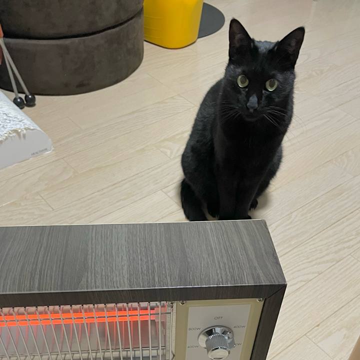 14bc8a64 0b48 4e50 876d ea1ba52f6202 1670406163439