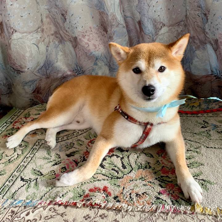 14bcb94c 50cf 4999 9f93 f210cce3cfb1 1568886798919