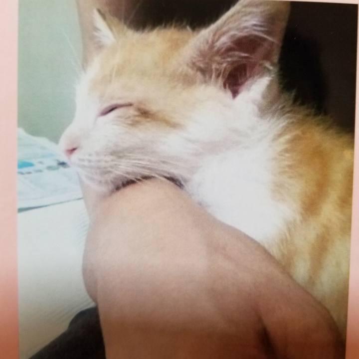 14bcbd26 195d 4340 94d9 f2205f16c6d8 1540463449186