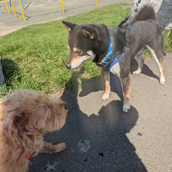 14bcc54d fae9 487f 92e8 f4cfbd63c31c 1714354122596