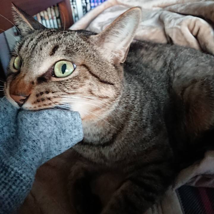 14bcca56 05a2 47cf 8368 91e62fd97ec9 1606561878236