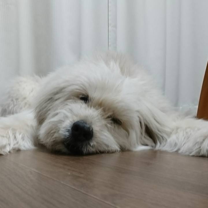 14bcd233 6f06 4d52 b179 21f623611ebb 1580644018187