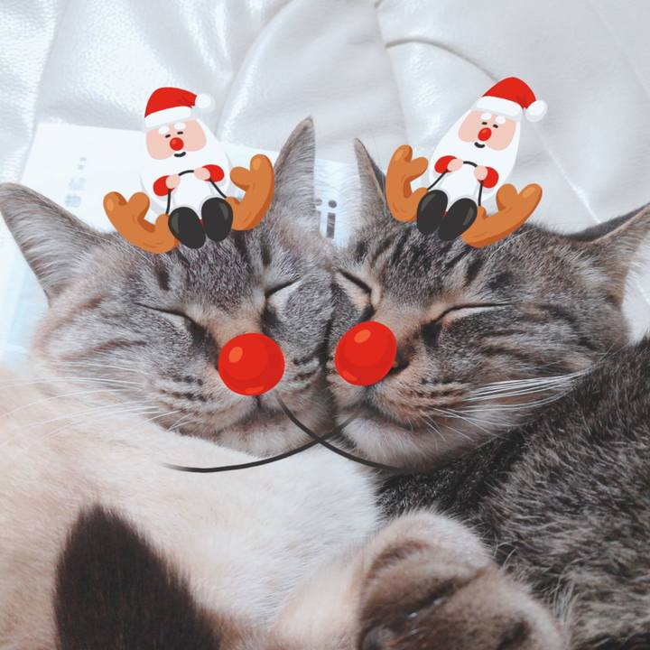 14bd03b4 9020 43dd 8f21 124d365d2b13 1576224480047