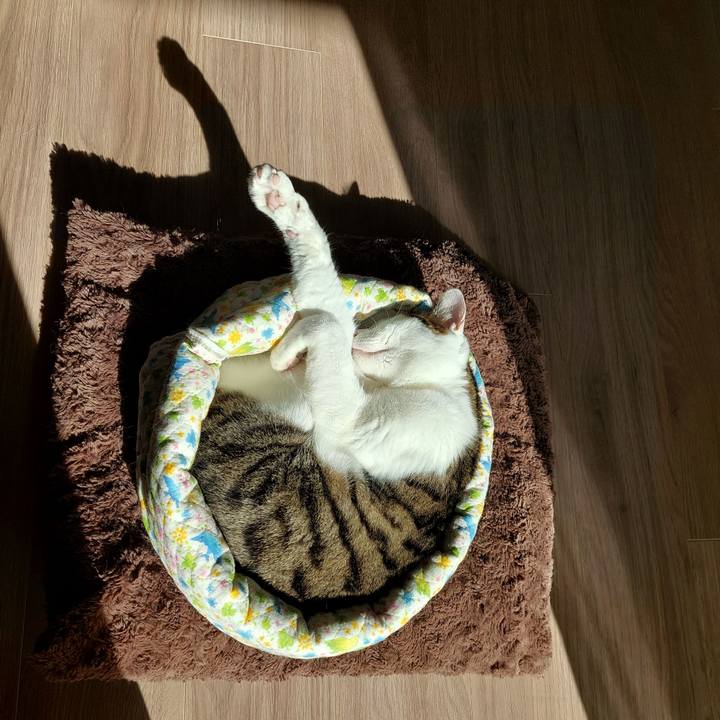 14bd08bd bad7 4731 974e a0d2e3f9dfa4 1644542348659