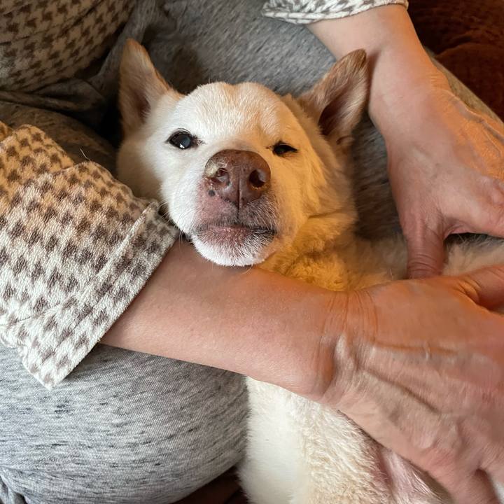 14bd137c a8a4 4f27 9fa6 7fd42169d6a3 1674470548684