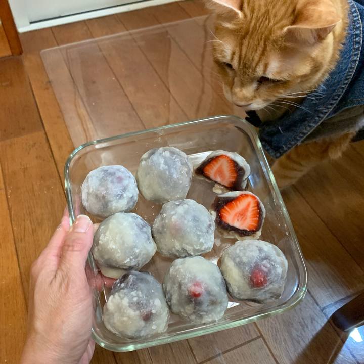 14bd1e99 7291 474a 87c5 1068129178a6 1649414495861