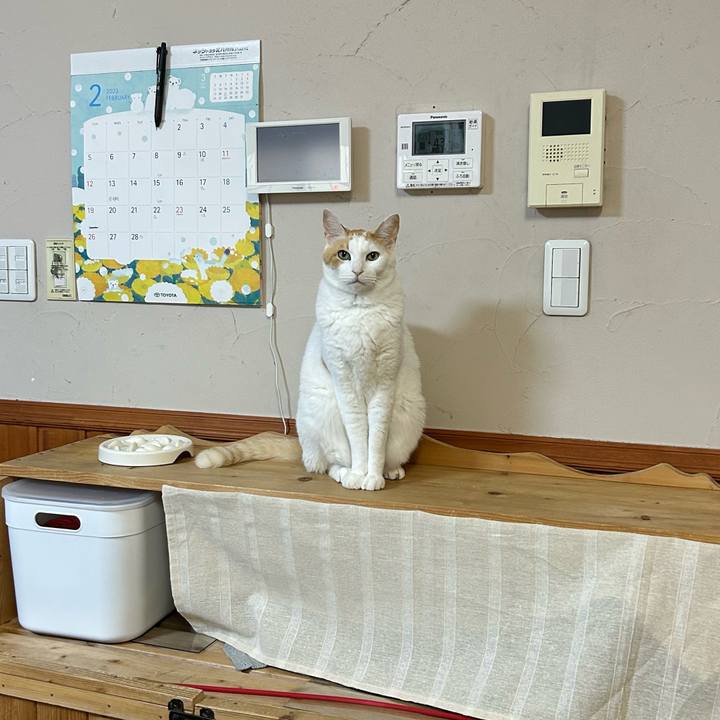 14bd2505 f6c9 46f5 9011 16962b101c08 1676777510202