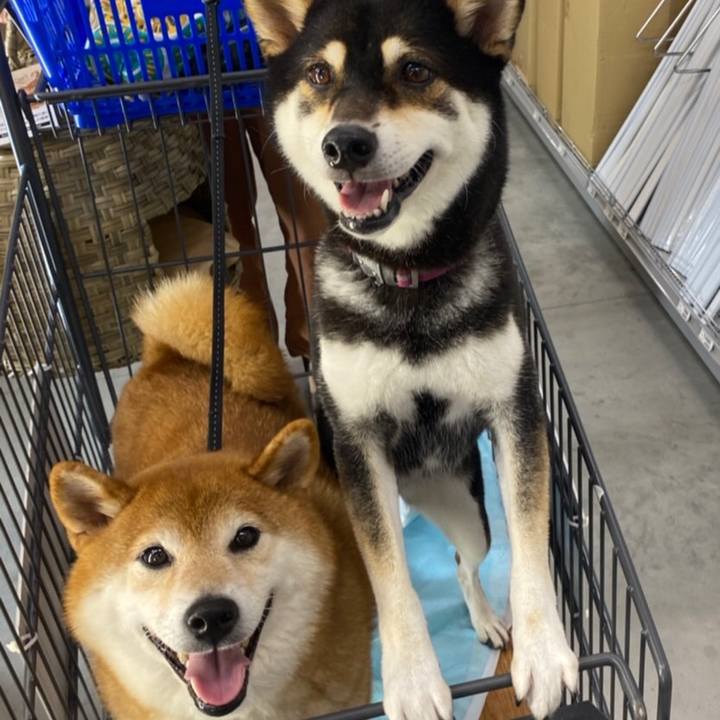 14bd4979 8aa3 45f0 95c3 ac129113b4b6 1630800045802