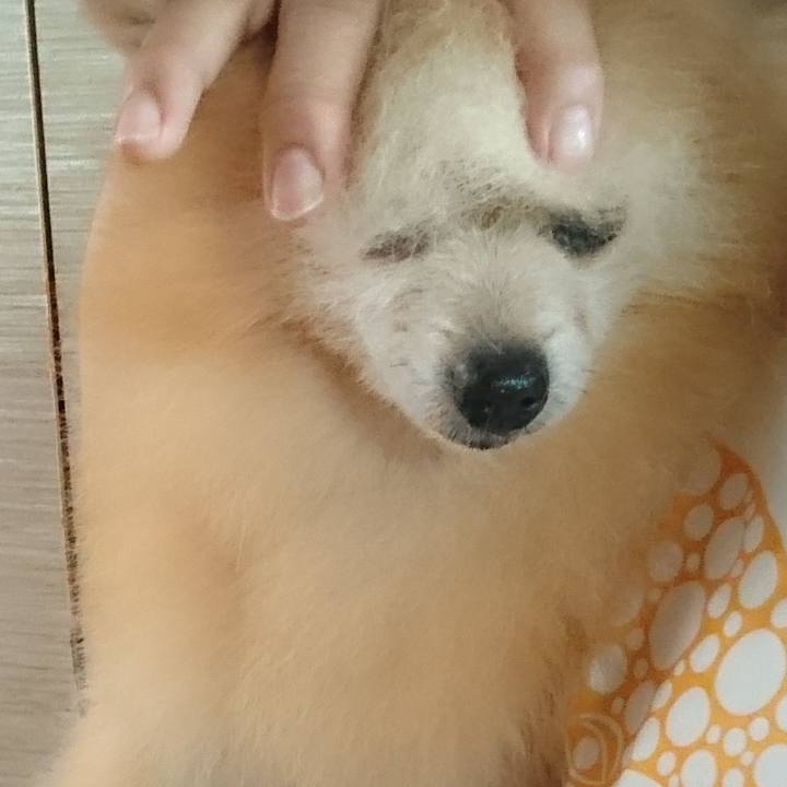 14bd6ef3 c770 46f0 8745 a2df5e19c019 1567640070386