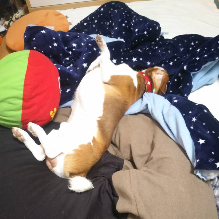 14bd7a24 7400 4cef a6fc 8870e4a7bebb 1636889365325