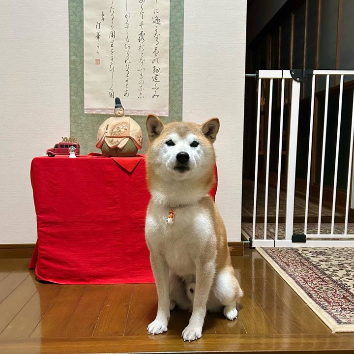 14bd9d03 0ccb 4901 a787 6283ef72708b 1734000890727