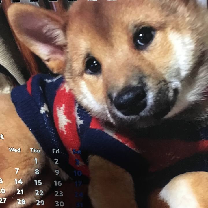 14bdc4e0 be95 444d bb91 8d8a3e7f3680 1593650675056