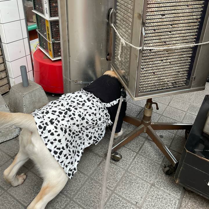 14bde01a 9591 4a68 bab1 e8d0adec9c0a 1643778518941