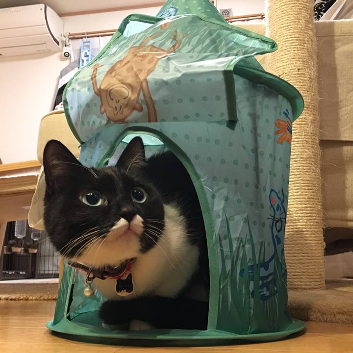 14be1f3c e7f4 4447 bedf d679842ac0e2 1519901752147