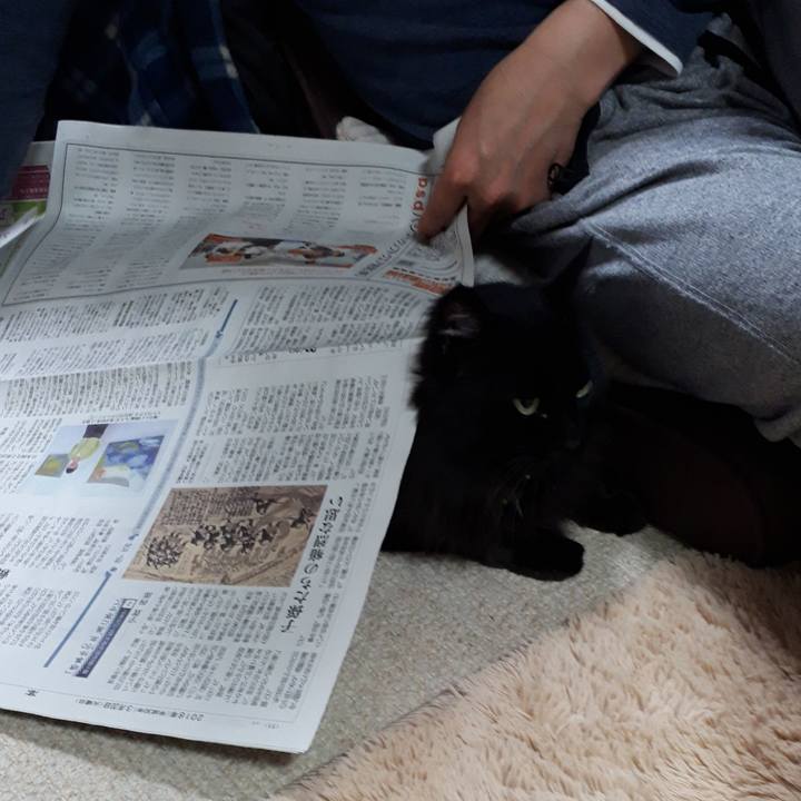 14be4483 0bbb 4323 9e13 4895747c50c1 1521495570506