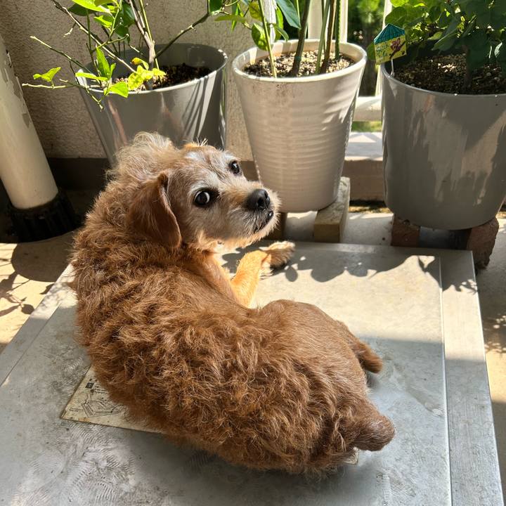 14be7575 e6de 462a 8033 27bec97b5daf 1751520302418