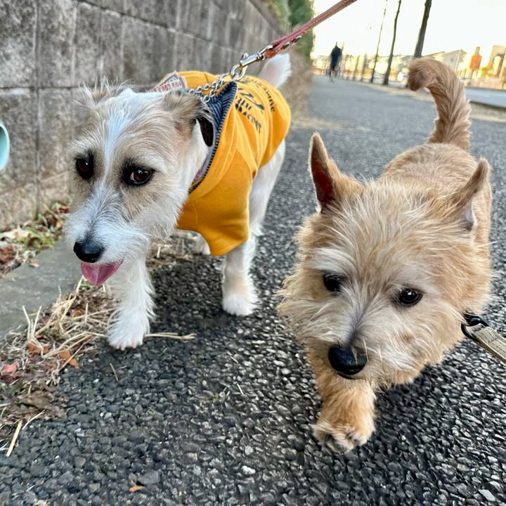 14be81ef ac86 4596 aead 2b9794c593e1 1707571941526