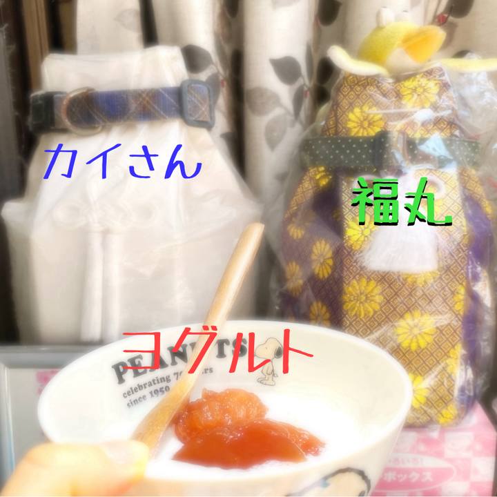 14be8ec6 2637 4ad6 a035 eb8391c67eb3 1723520217676