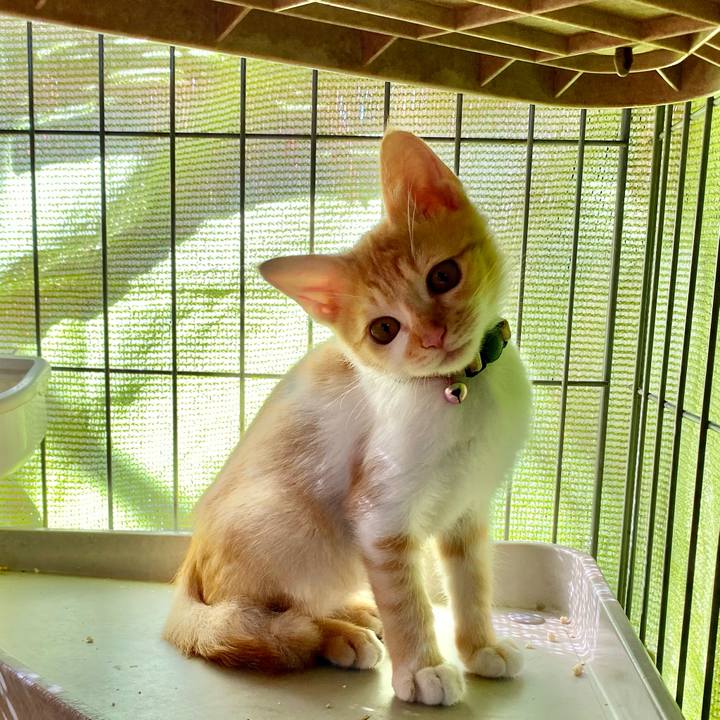 14be9842 04da 4aaa 9b21 aec9a7e65846 1632281925925