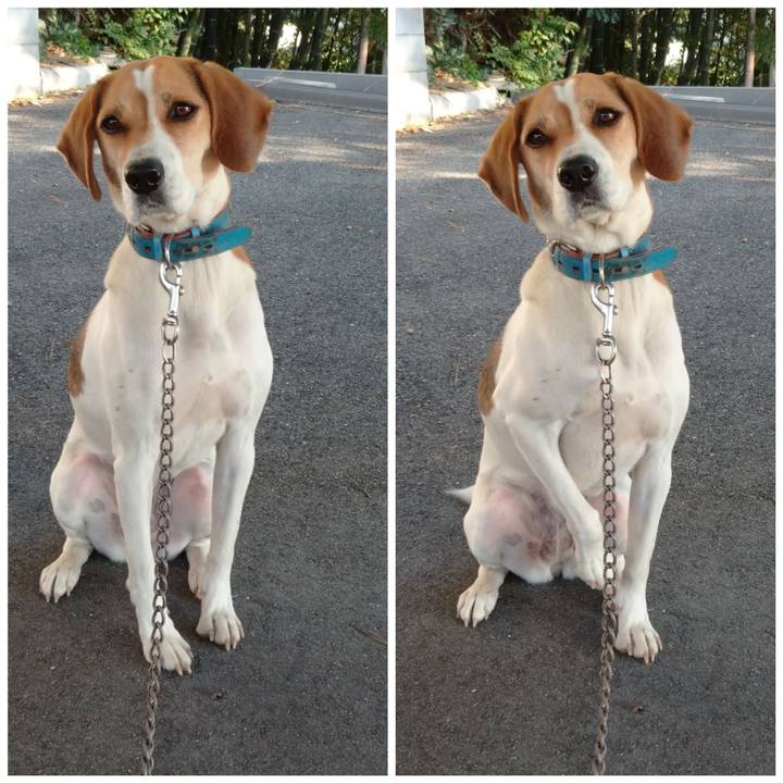 14be9904 1c8c 4329 9f86 ebe814374262 1603607470733