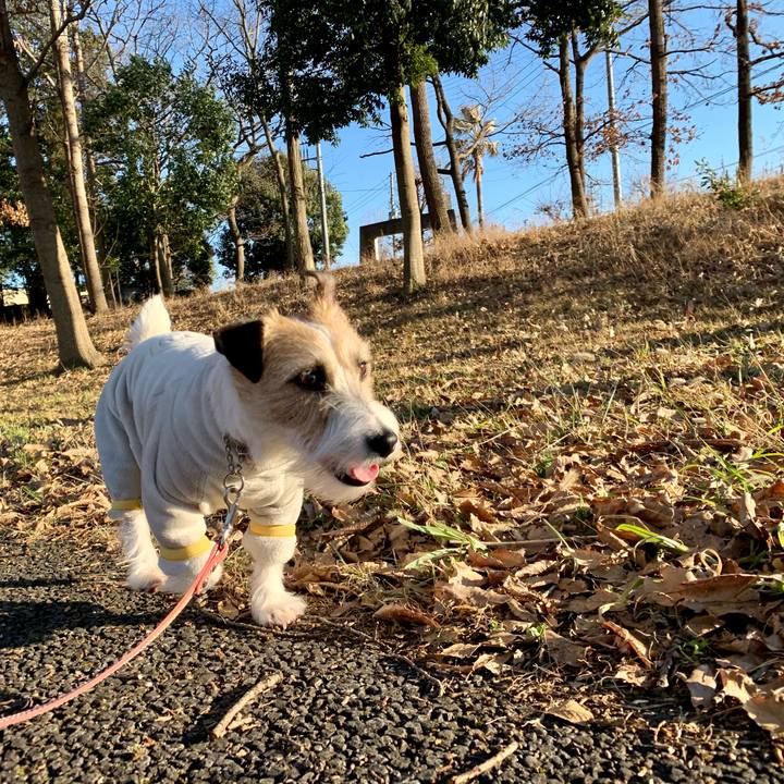 14bed878 a7a0 43a7 b857 94d87b822b86 1612427537430