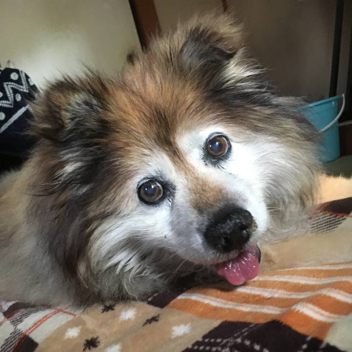 14bef96e 3c65 4017 8bfe f32a28e0896f 1583028770826