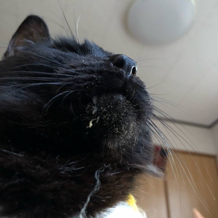 14bf0d14 4f07 4742 b5a2 b31e9fe847fb 1556376207761