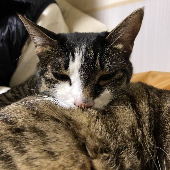 14bf16ba 227a 4df6 89d9 0a85a5bae637 1611179090626