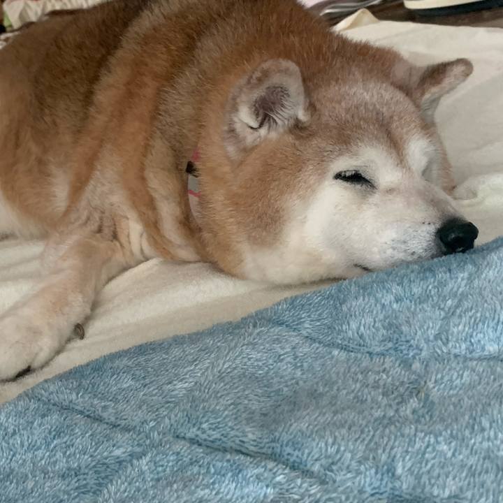 14bf210f 870a 481f bb6d 77740a8459a9 1686133139338