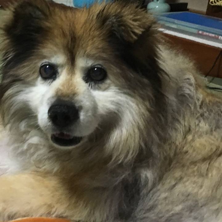 14bf4e7d 9f86 49c2 9b21 6f7dfb4ca91c 1567014454805