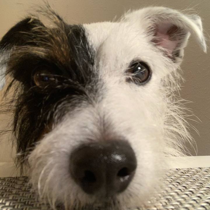 14bf6059 4686 4db7 b09d c4d7fdaa268b 1570187050481